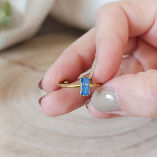 Anello Regolabile con Capsula Rettangolare e Carota Selvatica-Oro